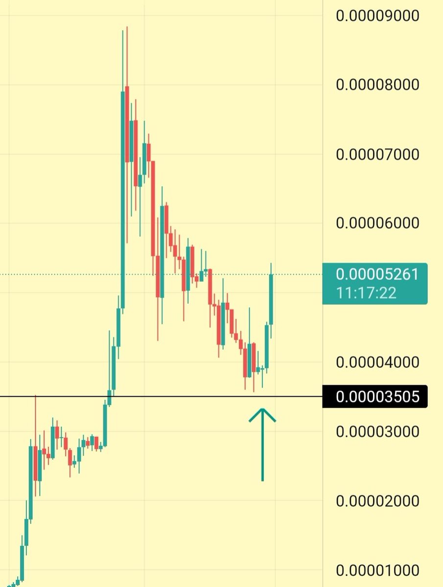 Kötü şans. Ucuna kadar geldi fakat desteğe değmedi. Alım yapamadık.