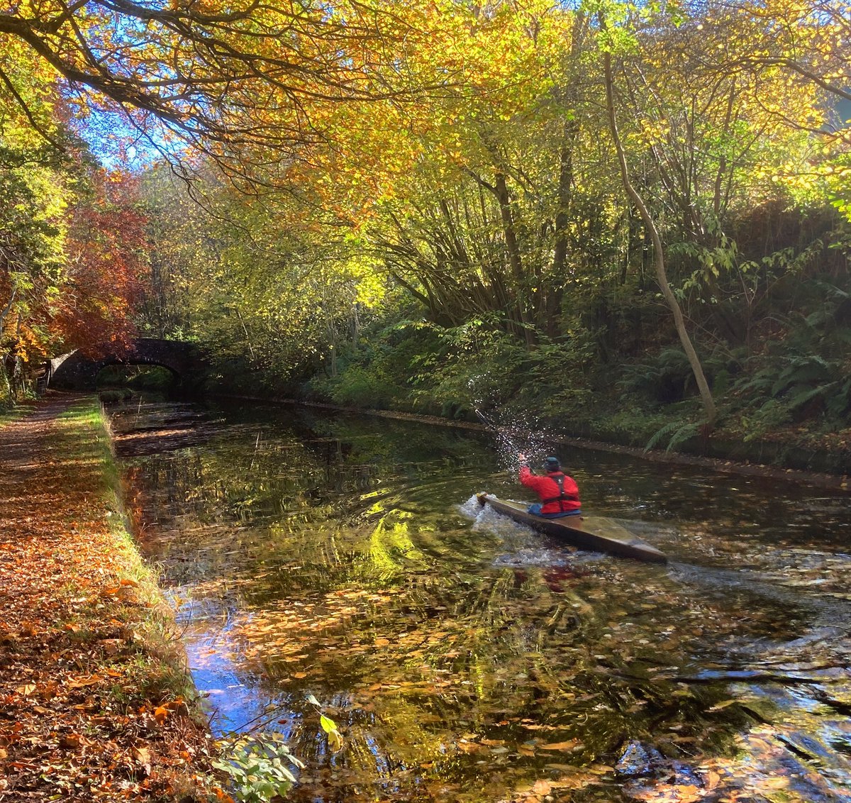 Glanpant Bach tweet media