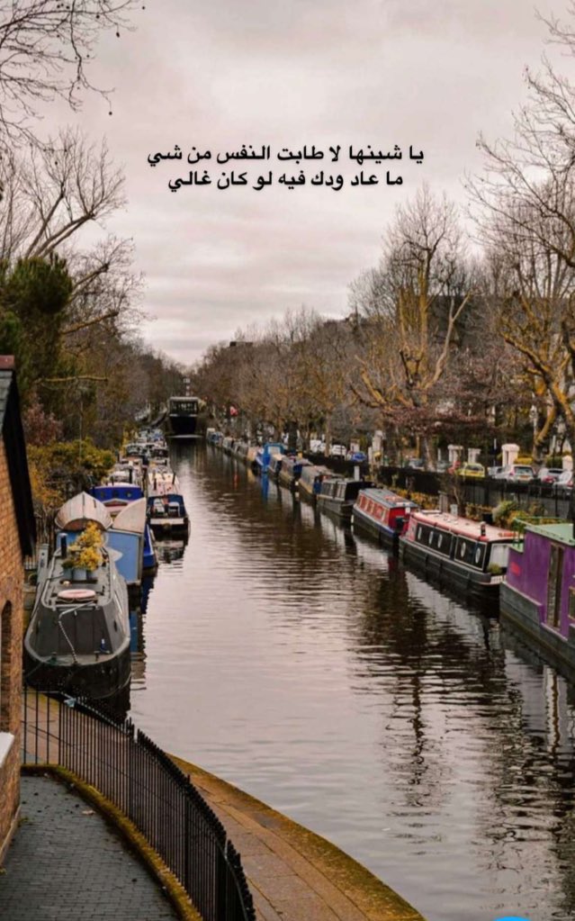 ياشينها لا طابت النفس من شي ~
ماعاد ودك فيه لو كان غالي... 💔