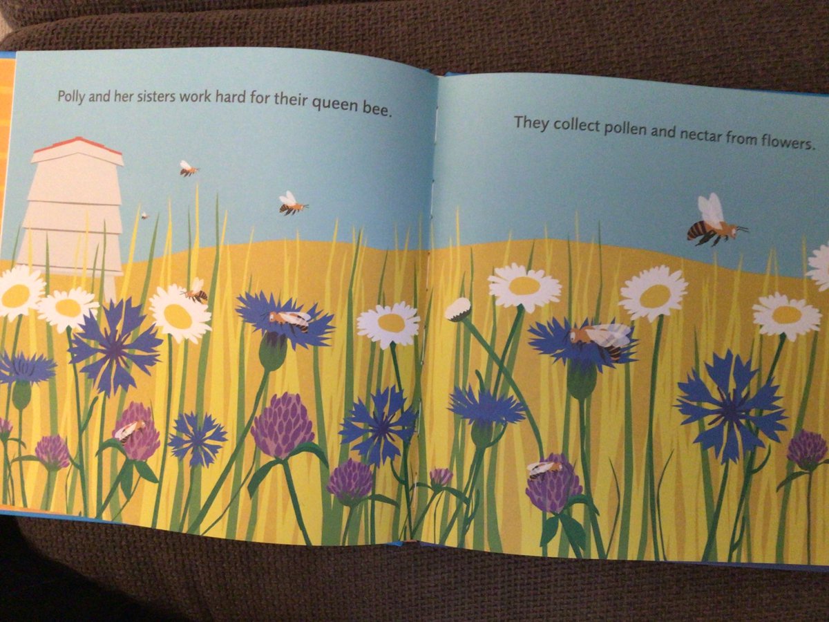 writeaboutbooks's tweet photo. Deborah Chancellor & @julia2groves created the 2nd book in the #FollowMyFood series using a simple vocabulary rich text & colourful papercut illustrations, plus a quiz & extra information at the end. #PollyBeeMakesHoney @Scallywagpress #NNFN2021. See also #MillyCowGivesMilk 3/4 https://t.co/kFcNbd3qkQ