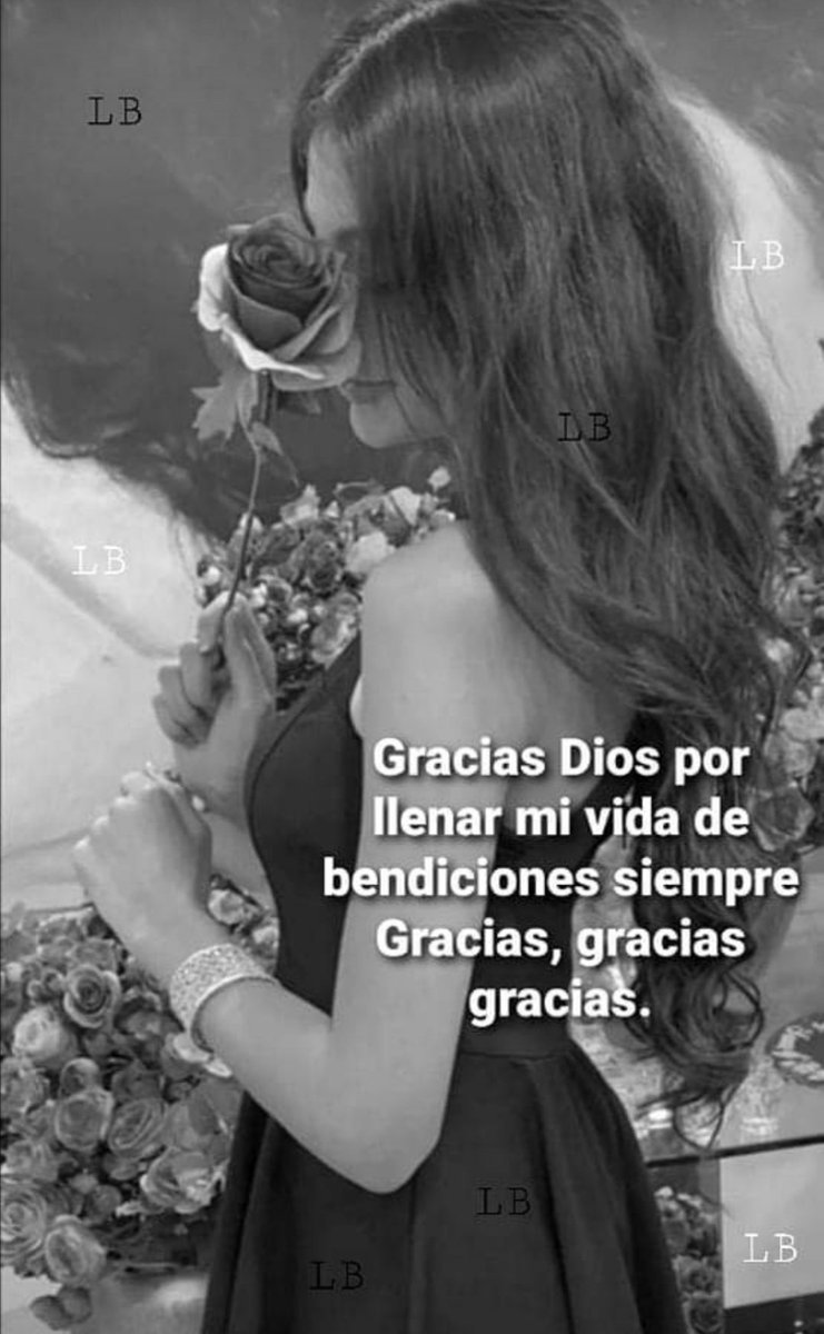 Bertha Lila Perez tweet media