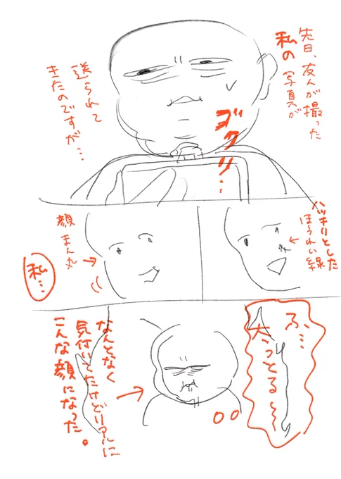 いつか描こうと思って描かずにいた1P漫画日記。
下描きのオチの顔が、すごく良い顔してたので、載せておきます。(お気に入り) 