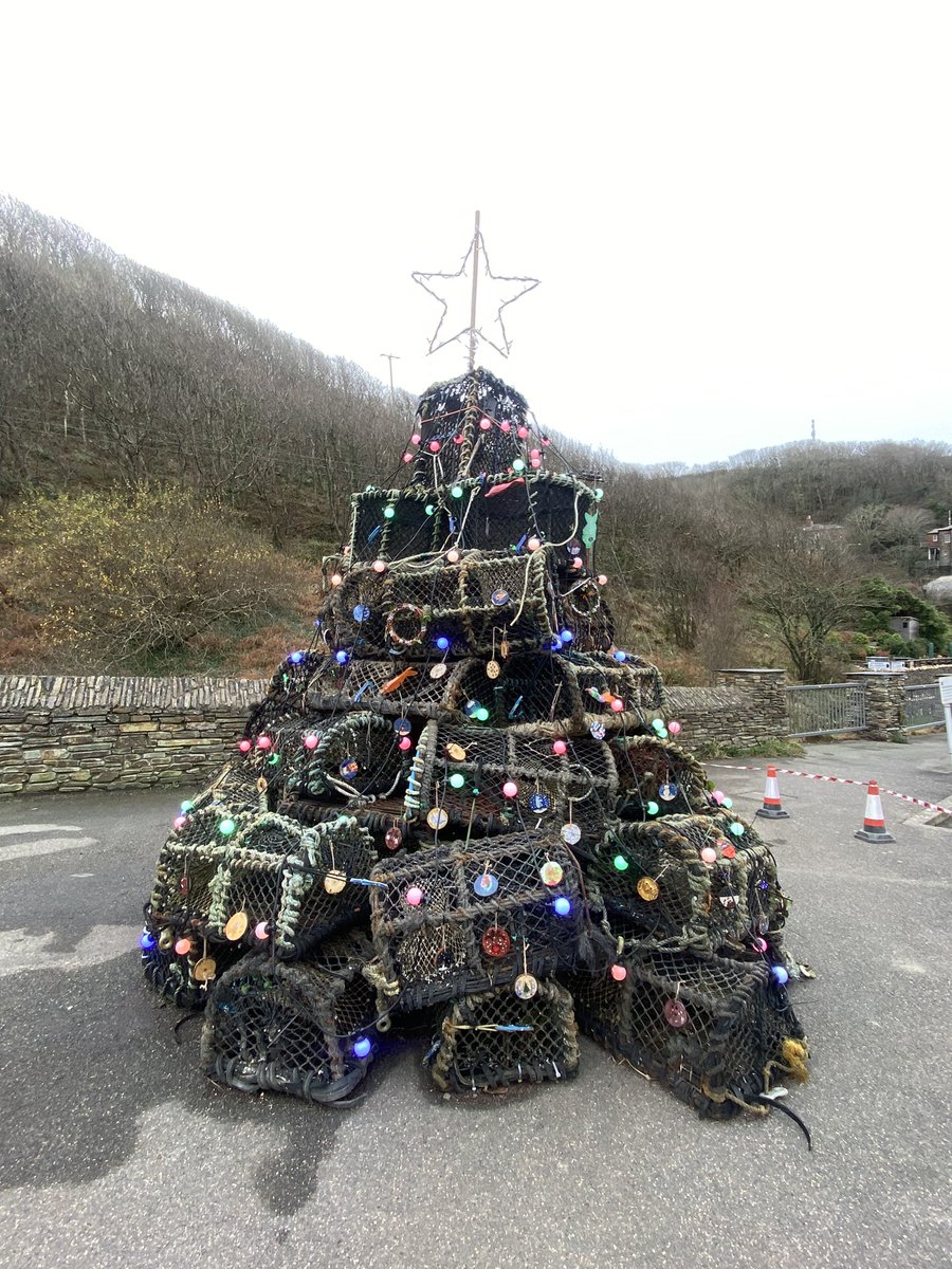 There’s something fishy about this Christmas tree spotted in Boscastle!🐠

Love this idea of upcycling old lobster traps! 🦞