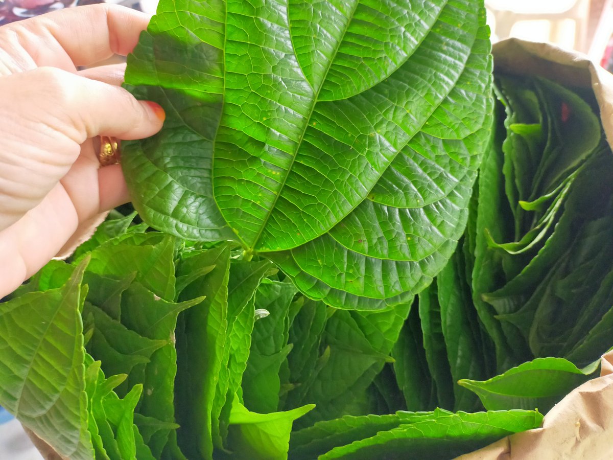 UnitLpp's tweet image. 👍👍inilah daun dan bunga sacha inchi yang sedang viral masa kini ..... macam macam produk boleh dihasilkan ... Para peladang .... Boleh fikirkan sesuatu yaaaaaa ✍️✍️✍️