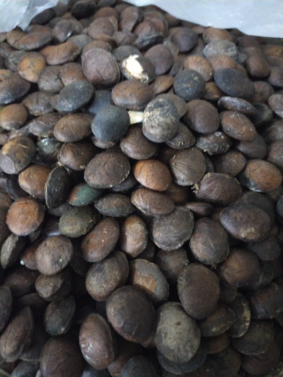 UnitLpp's tweet image. 👍👍inilah daun dan bunga sacha inchi yang sedang viral masa kini ..... macam macam produk boleh dihasilkan ... Para peladang .... Boleh fikirkan sesuatu yaaaaaa ✍️✍️✍️