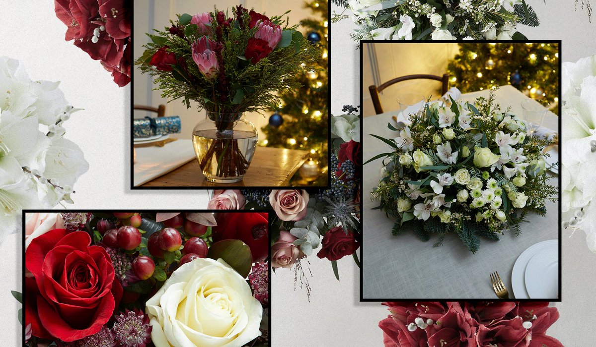 The Handbook tweet media