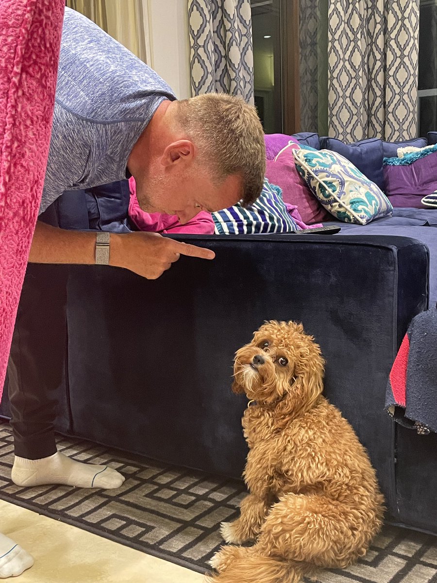 Ian Poulter tweet media