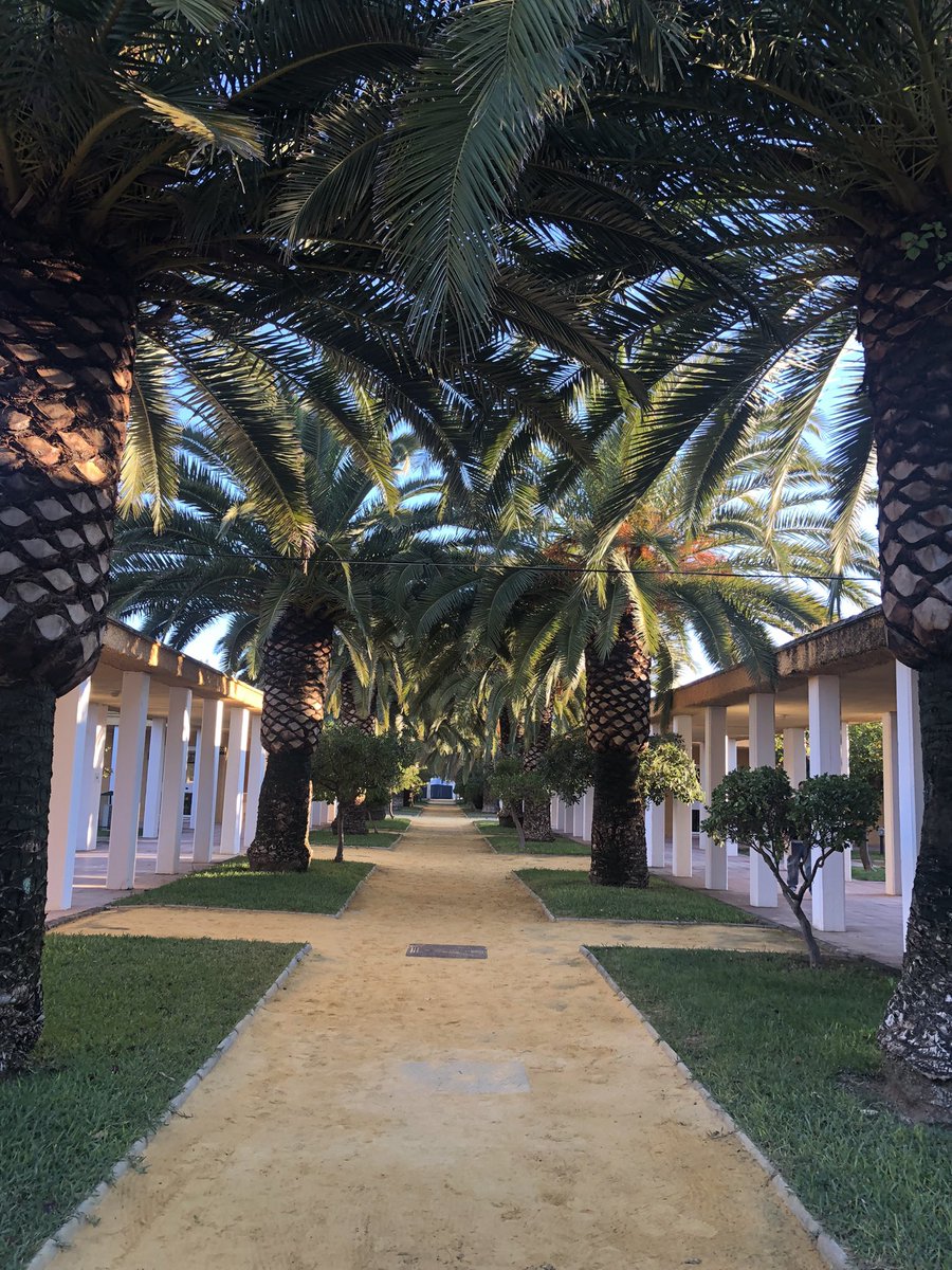 SergioBolea's tweet photo. Fin de semana de muchos aprendizajes en el Foro Juvenil Internacional de Solidaridad con el Sáhara Occidental @iyfsws No nos olvidemos de la injusticia crónica que sufre el pueblo saharaui,la última colonia del continente africano🇪🇭Sigamos uniendo nuestras voces para el cambio🤝 https://t.co/zFODXcc9D8
