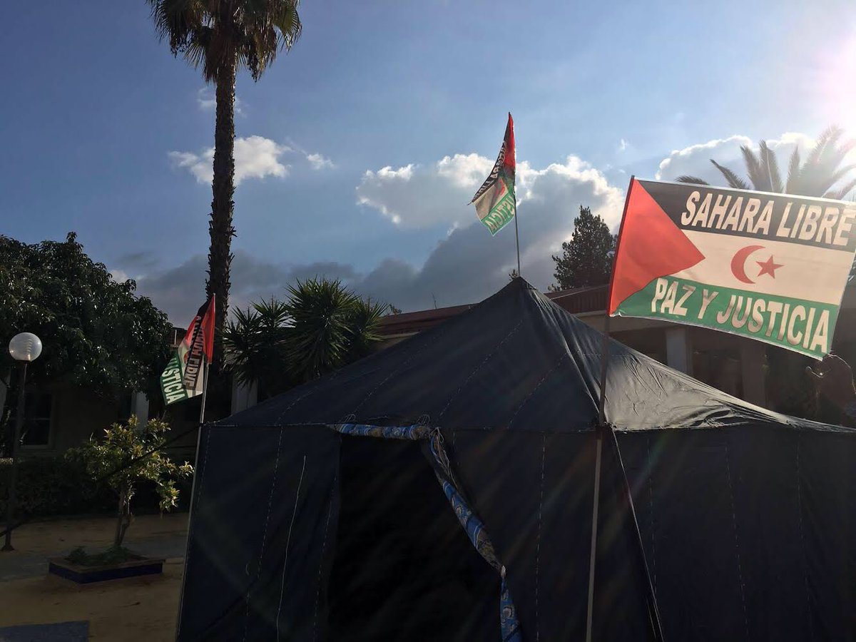 SergioBolea's tweet photo. Fin de semana de muchos aprendizajes en el Foro Juvenil Internacional de Solidaridad con el Sáhara Occidental @iyfsws No nos olvidemos de la injusticia crónica que sufre el pueblo saharaui,la última colonia del continente africano🇪🇭Sigamos uniendo nuestras voces para el cambio🤝 https://t.co/zFODXcc9D8