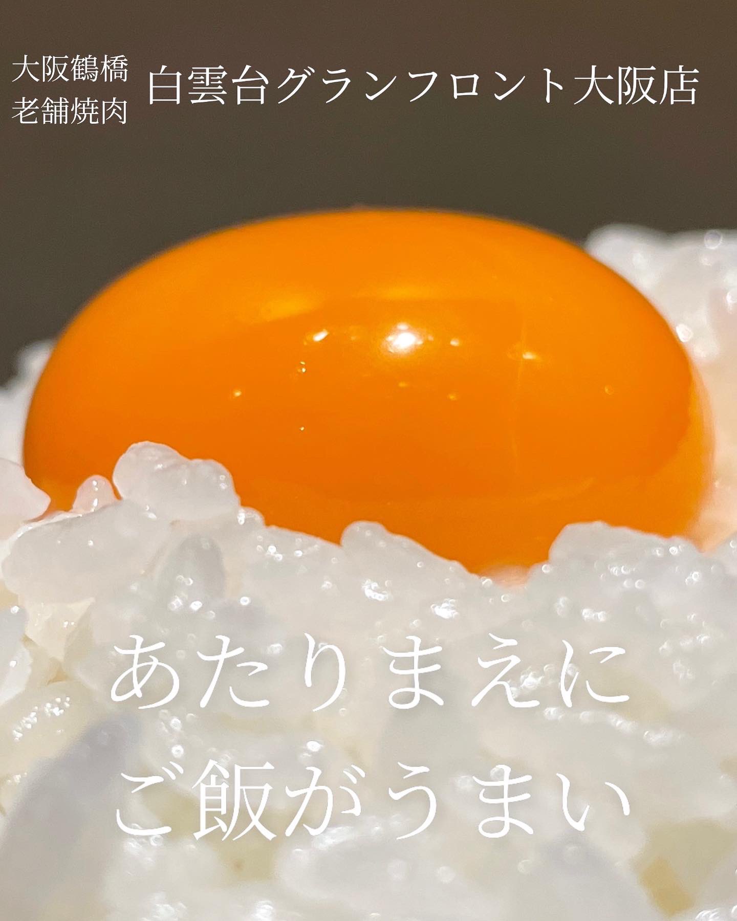 白雲台 グランフロント大阪店 焼肉屋の白米は重要 当店は丹波産こしひかりを 現地から直送していただいております お客様によく お肉は当然美味しいけど ごはんの美味しさに驚いた と コメントいただきます ぜひお肉とご飯のハーモニーで 至福の 白雲台 グランフロント大阪店 焼肉屋の白米は重要 当店は丹波産こしひかりを 現地から直送していただいております お客様によく お肉は当然美味しいけど ごはんの美味しさに驚いた と コメントいただきます ぜひお肉とご飯のハーモニーで 至福の