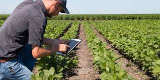 Como parte del seguimiento a la participación del MES en el Plan de Soberanía Alimentaria y la importancia del tema, la Directora de Ciencia, Tecnología e Innovación <a href="/ondinaleon/">ondinaleon</a> presentó en el Consejo de Dirección una actualización de las 63 medidas sobre la soberanía alimentaria