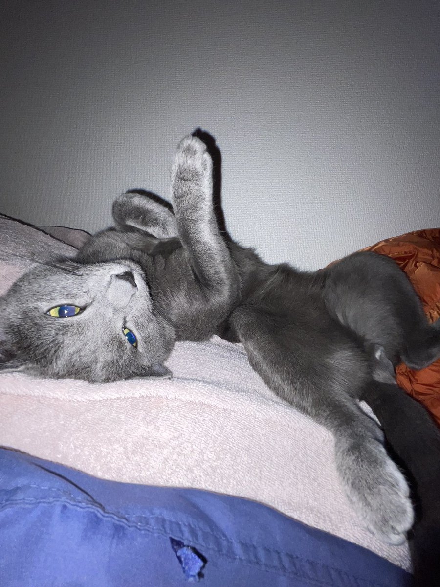 devilkillertype's tweet image. ニル　「　ホォーーーーー！！！」

ヌシ　「　何だ、何だぁ　！？　」

ニル　「　ホァタァァ！！！」

ヌシ　「　ぐはぁ！　」

ナレーター　「　YOU WIN  ! 」