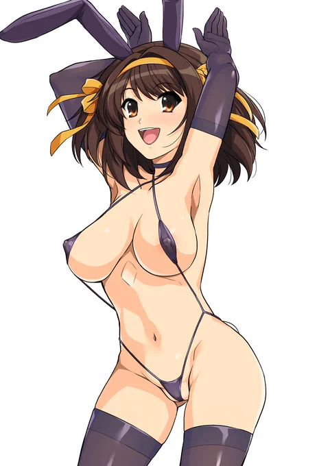 今日のハルヒさん
「はるこす13」の表紙のやつ 