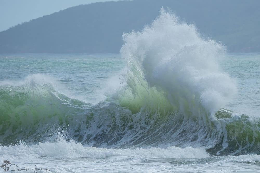 OceanArtwork's tweet photo. I love photographing waves no matter which direction they're coming from
Even better when they're colliding with each other 
There's a bit of luck involved but sometimes you can score some very arty curves https://t.co/piDzj3WWk4 https://t.co/rRsLRRRC0v
