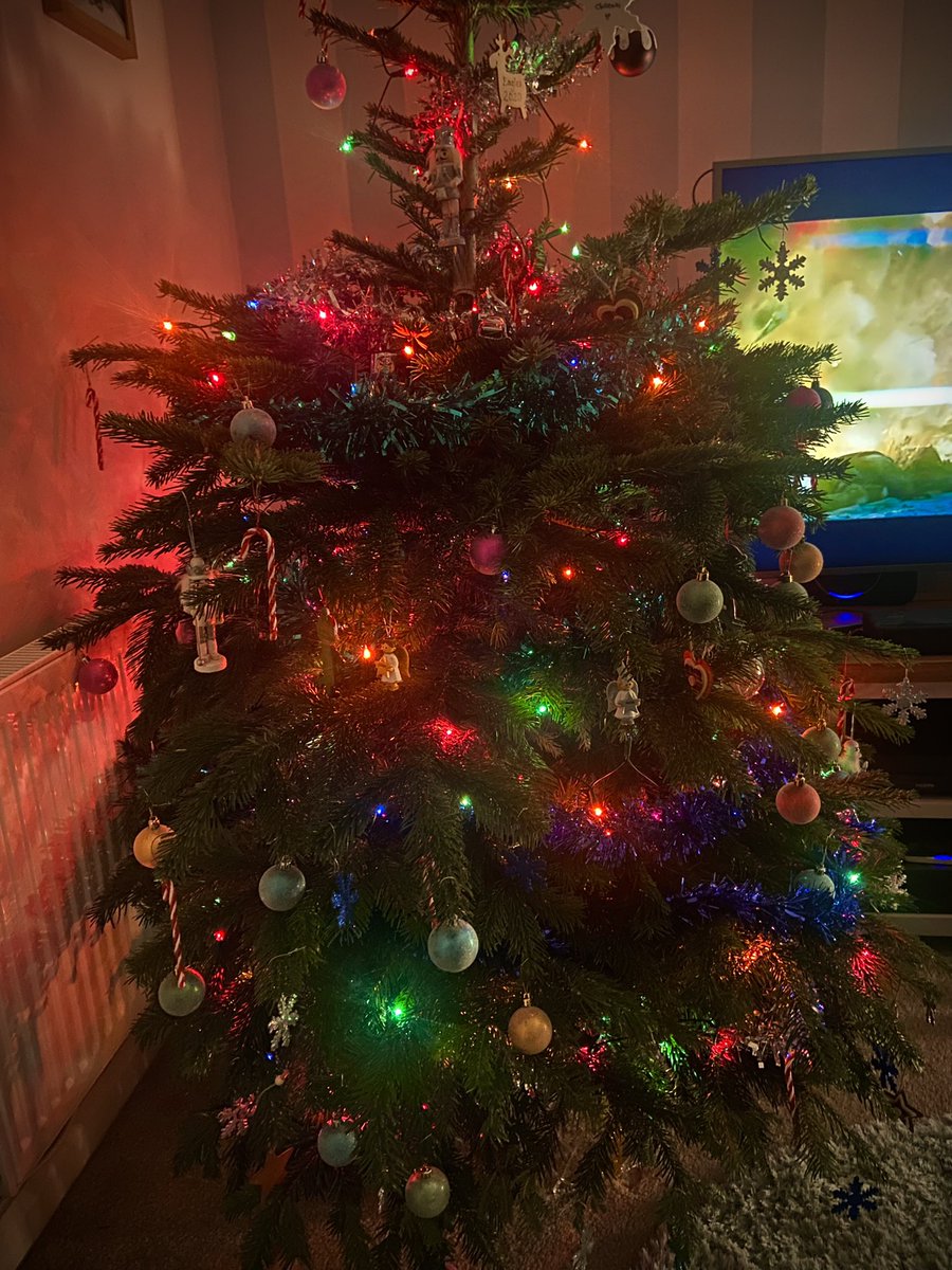 StephyAsh84's tweet photo. First time of having a real #christmastree #fairylights #massivetree 🎄 #realchristmastree @Wee8182 pic as promised! I feel it doesn’t do it justice though! Tinsel dilemma also 🤦🏻‍♀️ x https://t.co/P3nAqXztBY