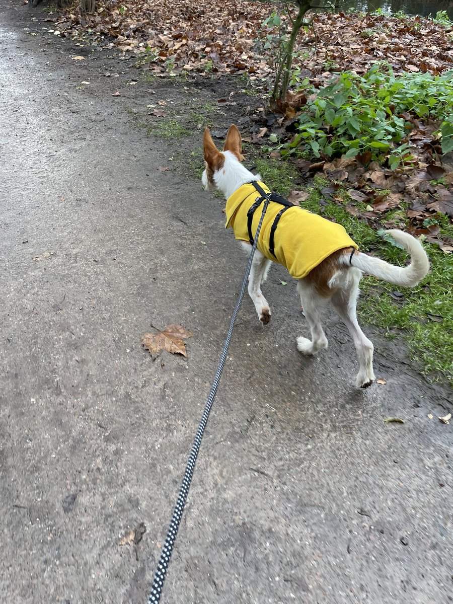 MangoJT's tweet photo. Looking pretty in yellow ❤️ https://t.co/0QrYz4rx1h