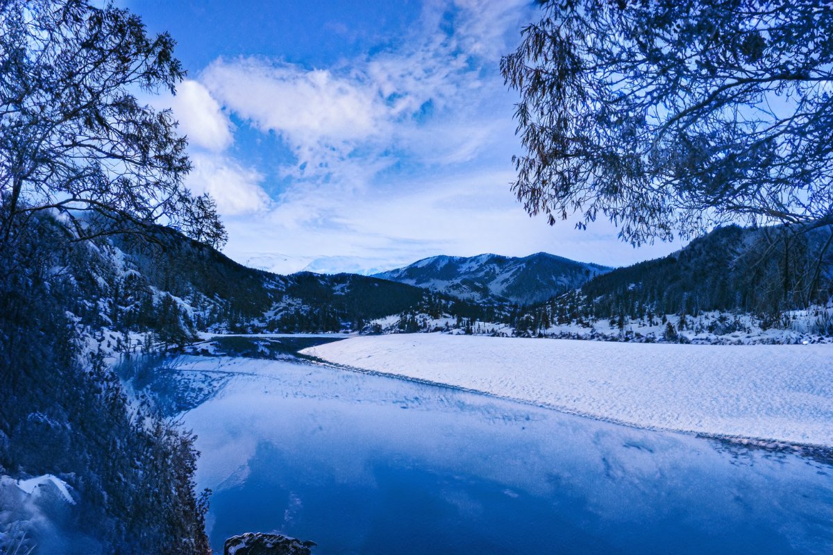 Kumasuke's tweet image. ニューラルフィルター、すげぇわ。左が元絵。
#photoshop #neuralfilter