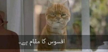 yaseen_khan81's tweet photo. #HaniaAamir &amp; #AsimAzhar  are trending on social media since last night.💥 
Le Corona😂: https://t.co/u4k8pNym9b