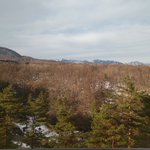 ツイートに含まれる画像