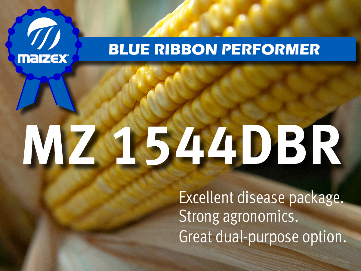 Meet one of <a href="/Maizex/">Maizex Seeds</a> top performers of #Plant21. #TruePerformance, #CanadianGrownCanadianOwned, #Plant22