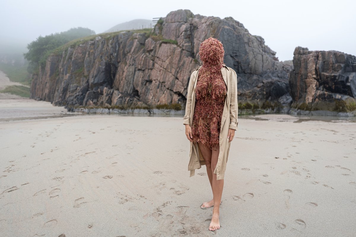 BuryArtMuseum's tweet photo. We are pleased to announce The Next Thing Moving Image Award 2021 winner: JOY LAND by Lily Dean.
Discover the latest in contemporary MovingImage & #ArtistFilm through our Graduate Showcase in the #MovingImageGallery until 22 Jan 2022.
Find out more: https://t.co/YDRo9V0kDj. https://t.co/UesYB0lkVr