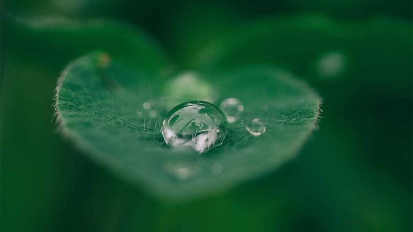 LUPA_Marketing's tweet photo. #BlogLUPA! Esto es lo que esperan los consumidores de las marcas en materia de sostenibilidad 👉https://t.co/4WALhVJsa1

#sustentabilidad #sostenibilidad #medioambiente #cuidadoambiental #recursosnaturales #lupamarketing https://t.co/T6cMDGu1lq