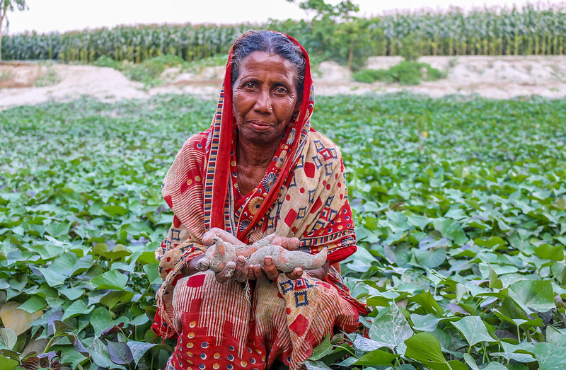 The climate crisis is generating a nutrition and health crisis and widening inequalities. How does #climatechange interact with #gender and inequity to affect #nutrition? 
👉 bit.ly/3B7GjNv #GenderinAg #OneCGIAR #CGIAR4Nutrition @CGIAR @nutritionwin @CGIARclimate