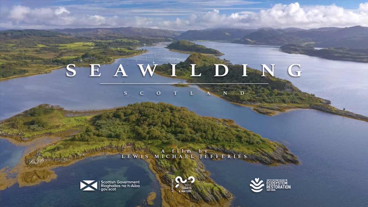 Out today: stunning short film about @seawilding’s oyster and seagrass restoration taking place on Scotland’s west coast

By @lewismjefferies 

youtu.be/tid73gH2ibA