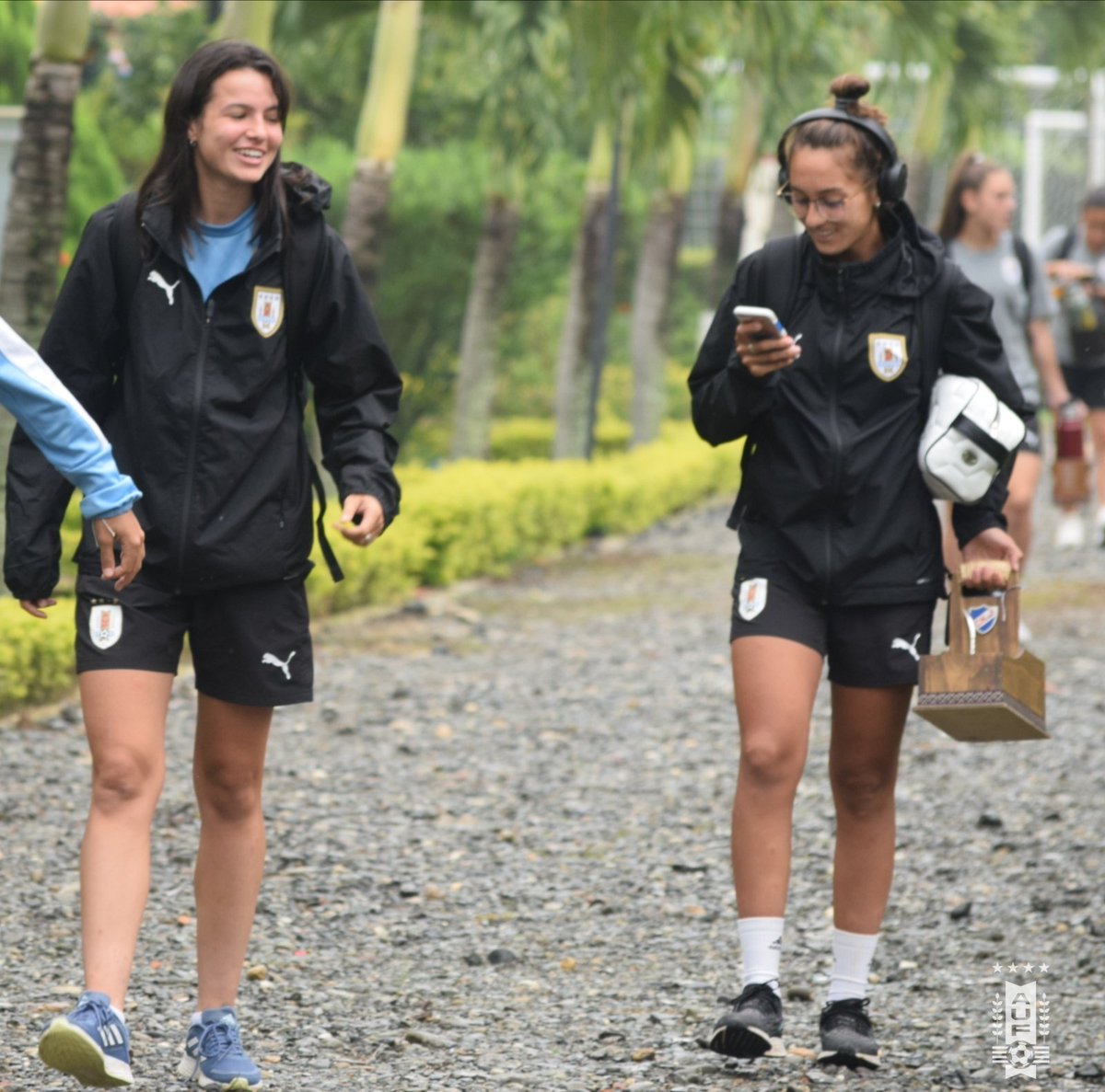 AUF Femenino tweet media