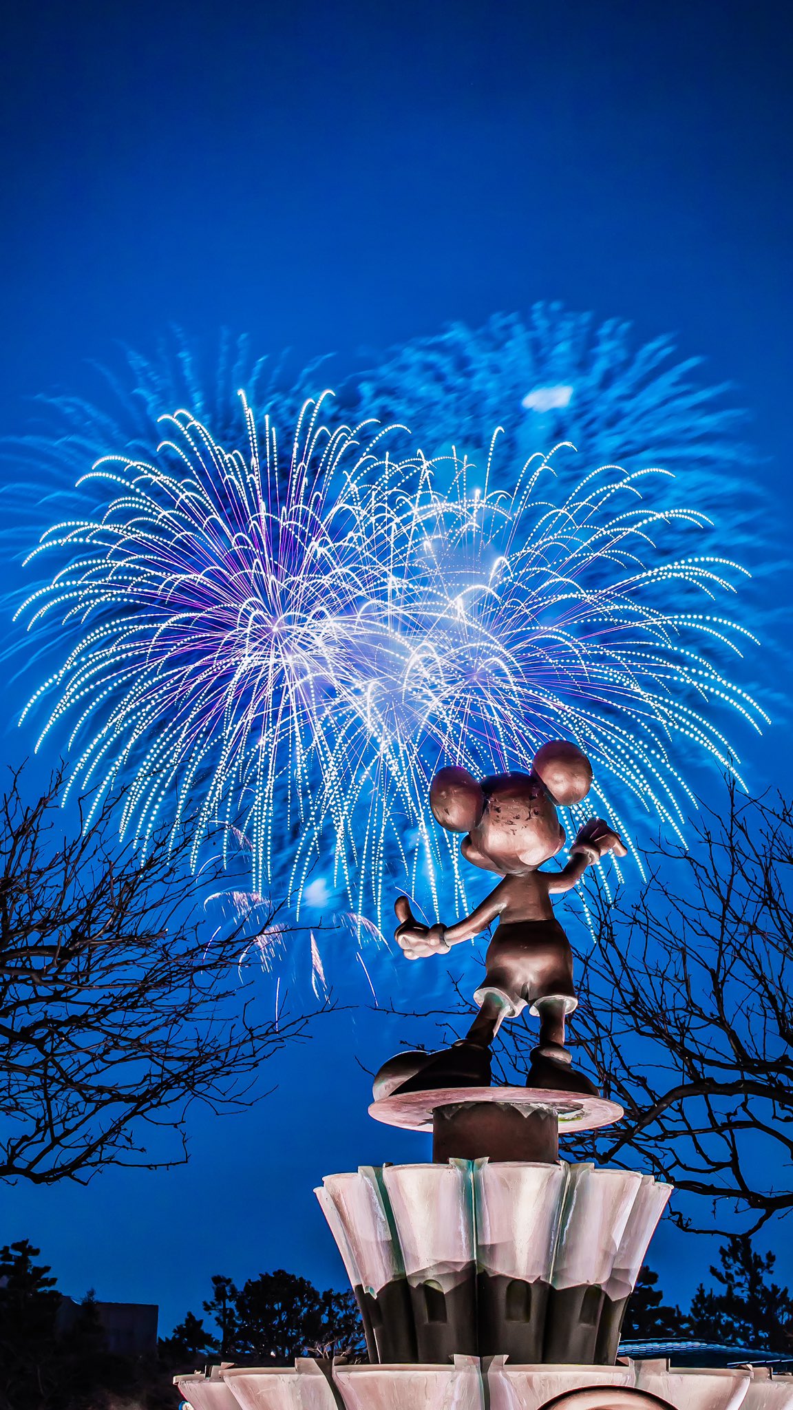 TDR ディズニー 花火柄 カーテン 2枚入り 未開封 – ROBOTROBOT