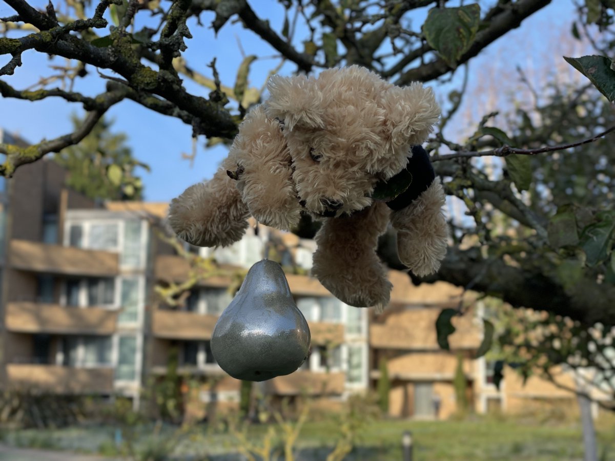 JesusCollegeCam's tweet photo. You've heard of Elf on the Shelf, now get ready for...
#WhereIsJC https://t.co/eOKWwUZkxN