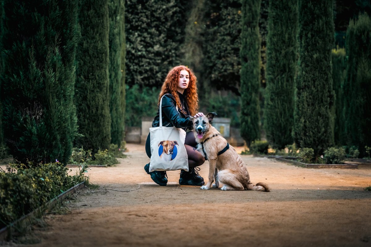 marybitter_'s tweet photo. Nuevo post en mi instagram de la campaña benéfica #TodosConDraco de @BrigadaBcn 💜

https://t.co/1tHa07SWXs https://t.co/wTZjd8EbHu