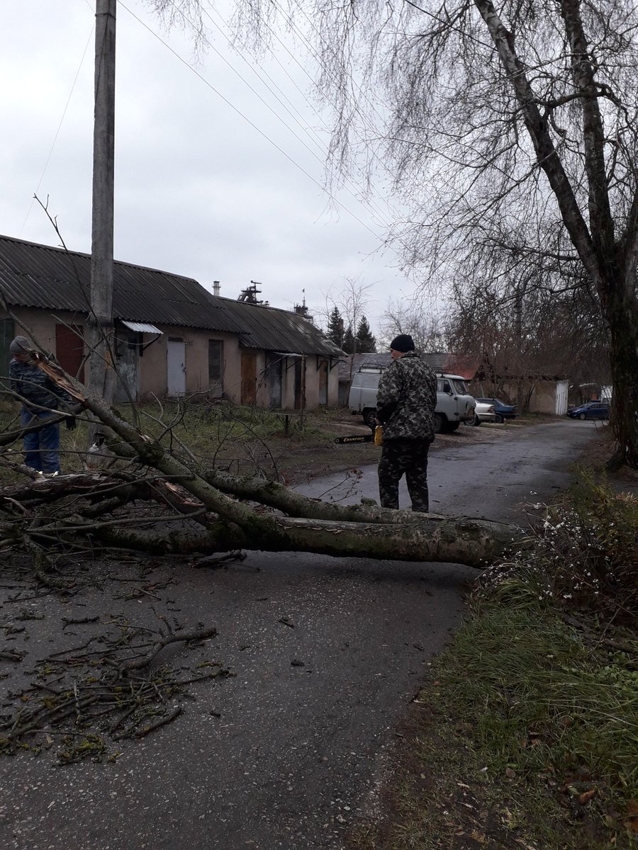 tulgilhoz's tweet photo. Распиловка упавшего аварийного дерева на придомовой территории.г.Тула,пос.Косая Гора,ул.Октябрьская,д9 @gilincp71 @Tularegion71 @UATNTula @Privadm https://t.co/ktSzx9NsPF