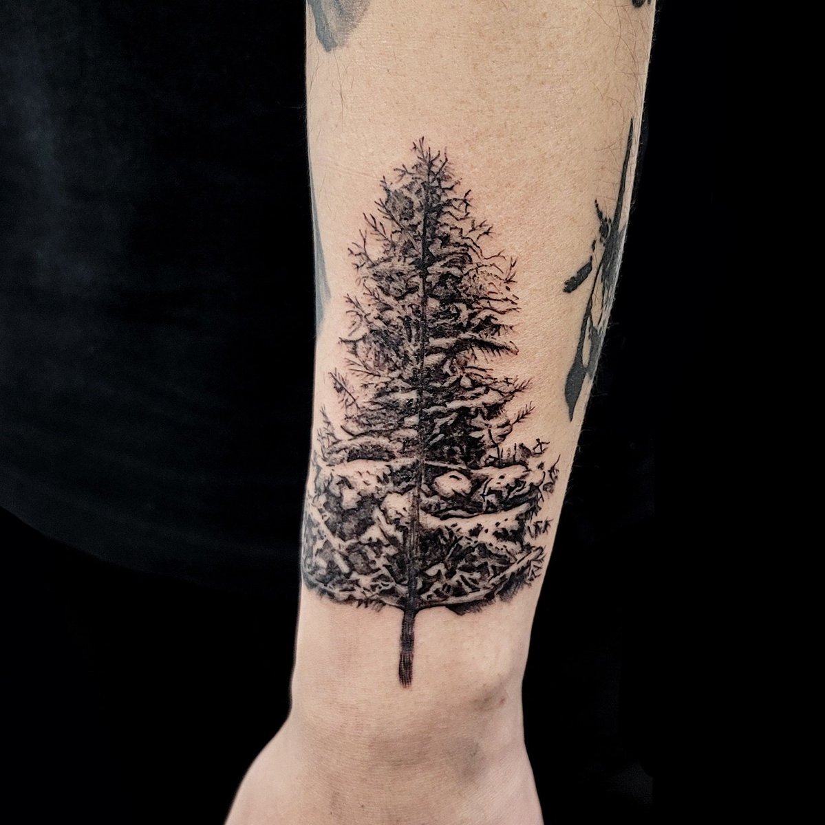 cheddartattoo's tweet photo. 더 많은 작업 사진은 본 계정과 인스타그램에서 보실 수 있습니다🖤 https://t.co/yFZmeq99hZ