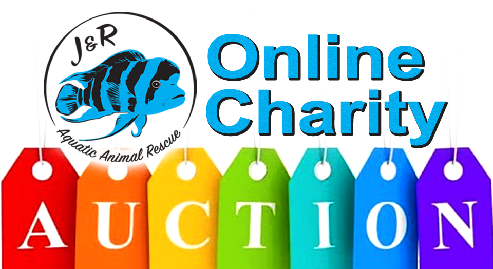 aquatic_r's tweet photo. Day 2 of our 4 Day Auction begins now!   

We have lots of great gift ideas and its for a great cause.  Your Charity Auction 

https://t.co/eYO0RHMG3w https://t.co/rNnYmLDnaR