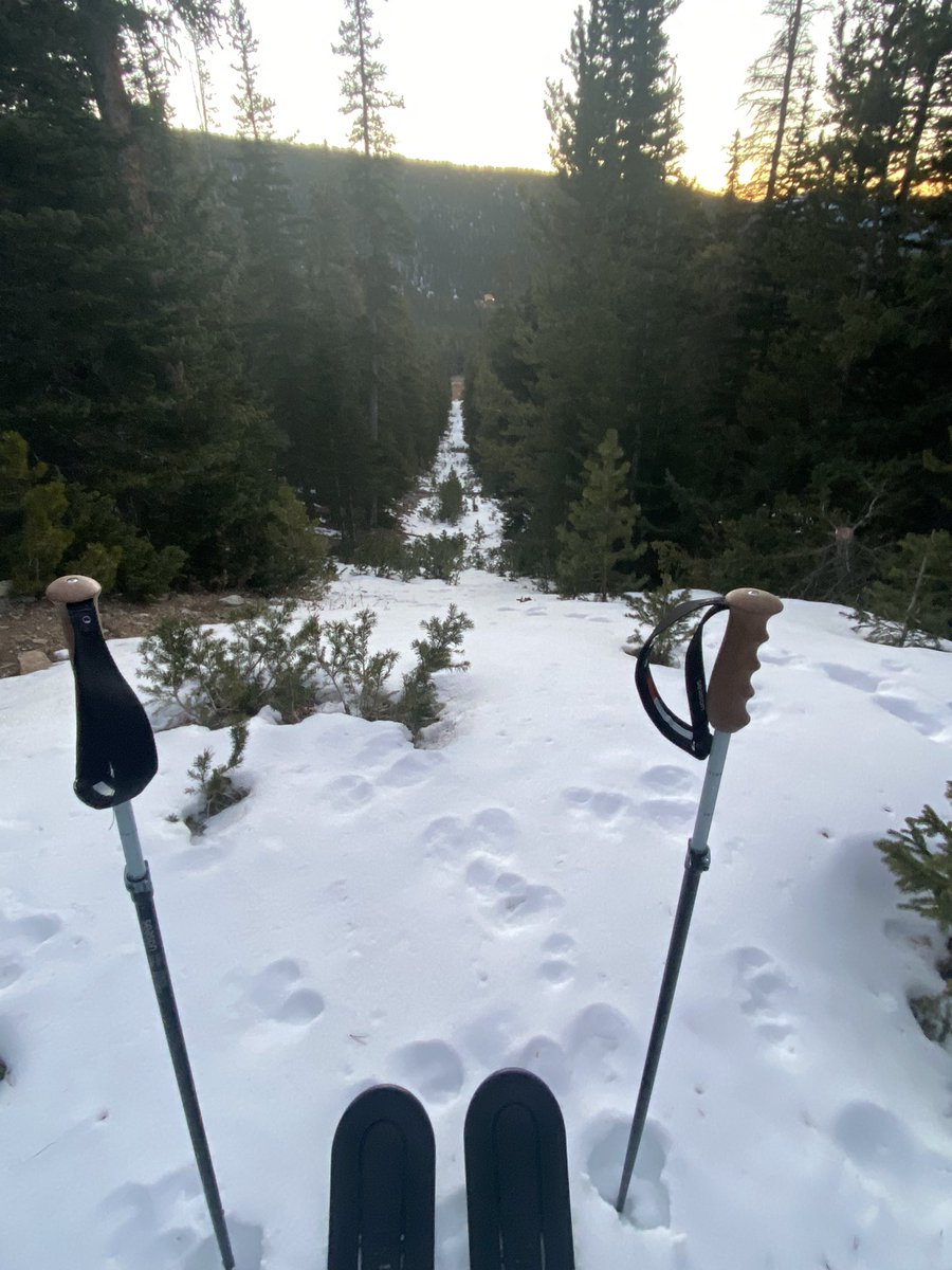 Weird Foothill Guy tweet media