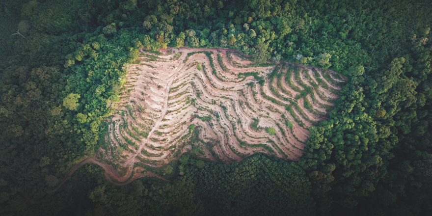 Red List of Ecosystems (@redlisteco) on Twitter photo 🤷♂️ What can we learn from nature to reduce pandemic risk?
Would a #OneHealth approach make a difference?🌿
2️⃣2️⃣ leading experts examined these questions & many more in <a href="/IPBES/">ipbes</a> #PandemicsReport
👇
ipbes.net/pandemics
<a href="/UNUEHS/">UN University - EHS</a> <a href="/UNEP/">UN Environment Programme</a> <a href="/unepwcmc/">UNEP-WCMC</a> <a href="/WHO/">World Health Organization (WHO)</a> 🤷♂️ What can we learn from nature to reduce pandemic risk?
Would a #OneHealth approach make a difference?🌿
2️⃣2️⃣ leading experts examined these questions & many more in <a href="/IPBES/">ipbes</a> #PandemicsReport
👇
ipbes.net/pandemics
<a href="/UNUEHS/">UN University - EHS</a> <a href="/UNEP/">UN Environment Programme</a> <a href="/unepwcmc/">UNEP-WCMC</a> <a href="/WHO/">World Health Organization (WHO)</a>