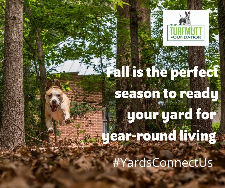 TurfMutt's tweet photo. Fall is the perfect season to ready your yard for year-round living. #YardsConnectUs #Backyarding https://t.co/u14OVtVI3c
