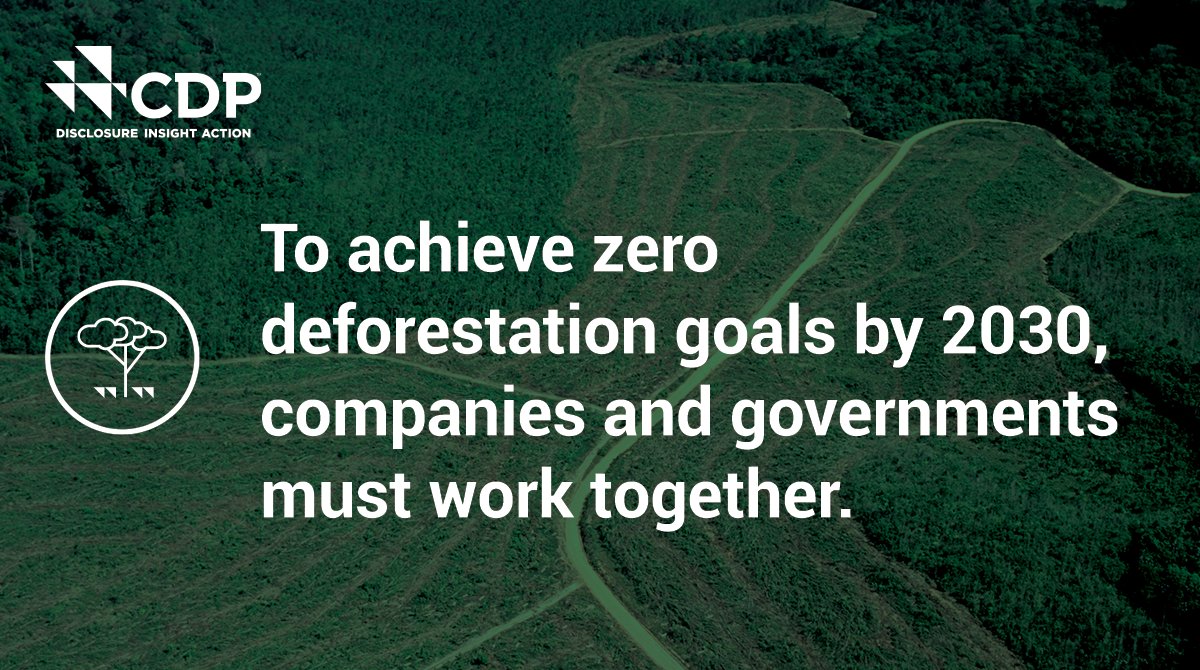CDP's tweet photo. Companies & governments must align for collective #ClimateAction & holistic place-based approaches to meet zero #deforestation targets by 2030.
See how landscape & jurisdictional approaches provide an implementation framework to support this: https://t.co/HbdvtDRj1z
#CDPForests https://t.co/wVov1gcxwc