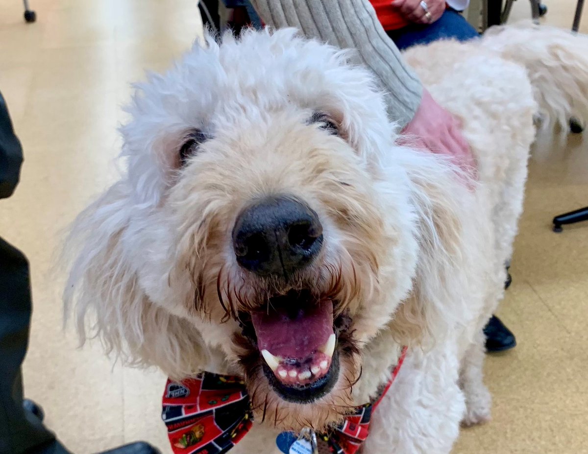 Next week, our favorite furry friends are back for PAWSitively Stress Free Monday, Dec. 6 and Tuesday, Dec. 7 from 2 to 4 p.m. on Floor 3 w/ therapy dogs, coloring, chair massage, and more to help get you through the last few days.