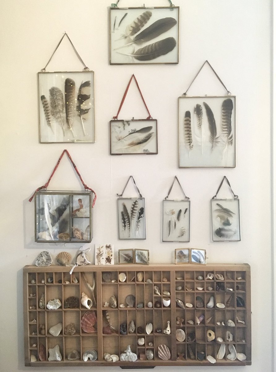 Benjamin Fallow tweet media