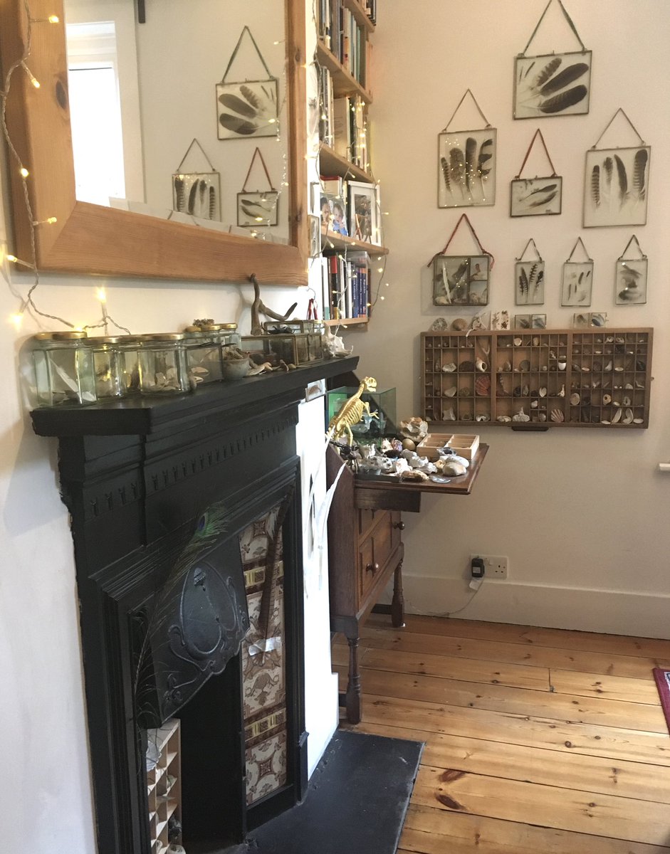 Benjamin Fallow tweet media