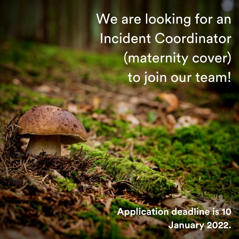 ASI - Assurance Services International tweet media