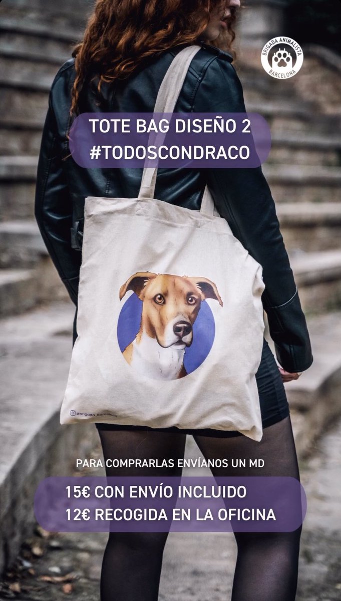 BrigadaBcn's tweet photo. Briguis tenemos nueva campaña!! #TodosConDraco destinada a recaudar fondos para costear la residencia de Draco y ayudar a difundirlo para que encuentre hogar💜 https://t.co/XCugd3z8Uz