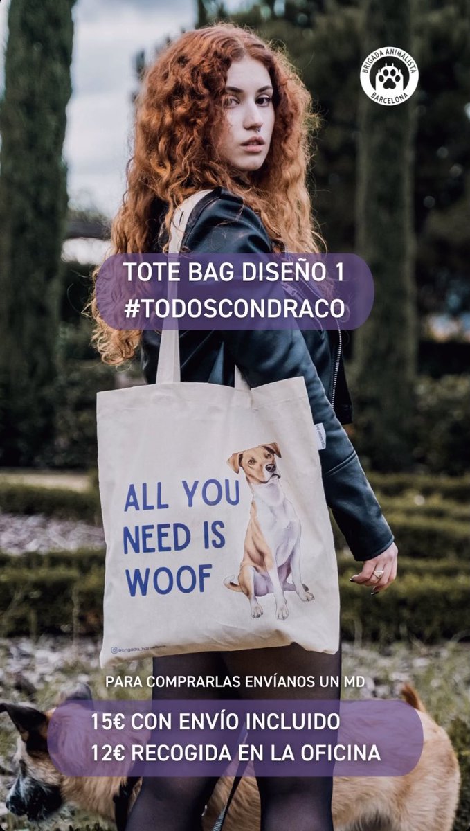 BrigadaBcn's tweet photo. Briguis tenemos nueva campaña!! #TodosConDraco destinada a recaudar fondos para costear la residencia de Draco y ayudar a difundirlo para que encuentre hogar💜 https://t.co/XCugd3z8Uz