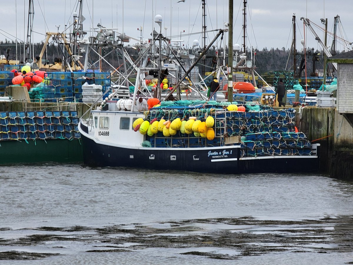 Preparation for the opening of the lobster season in SW Nova Scotia. #GalaxyS21Ultra #novascotia #lobsterfishing