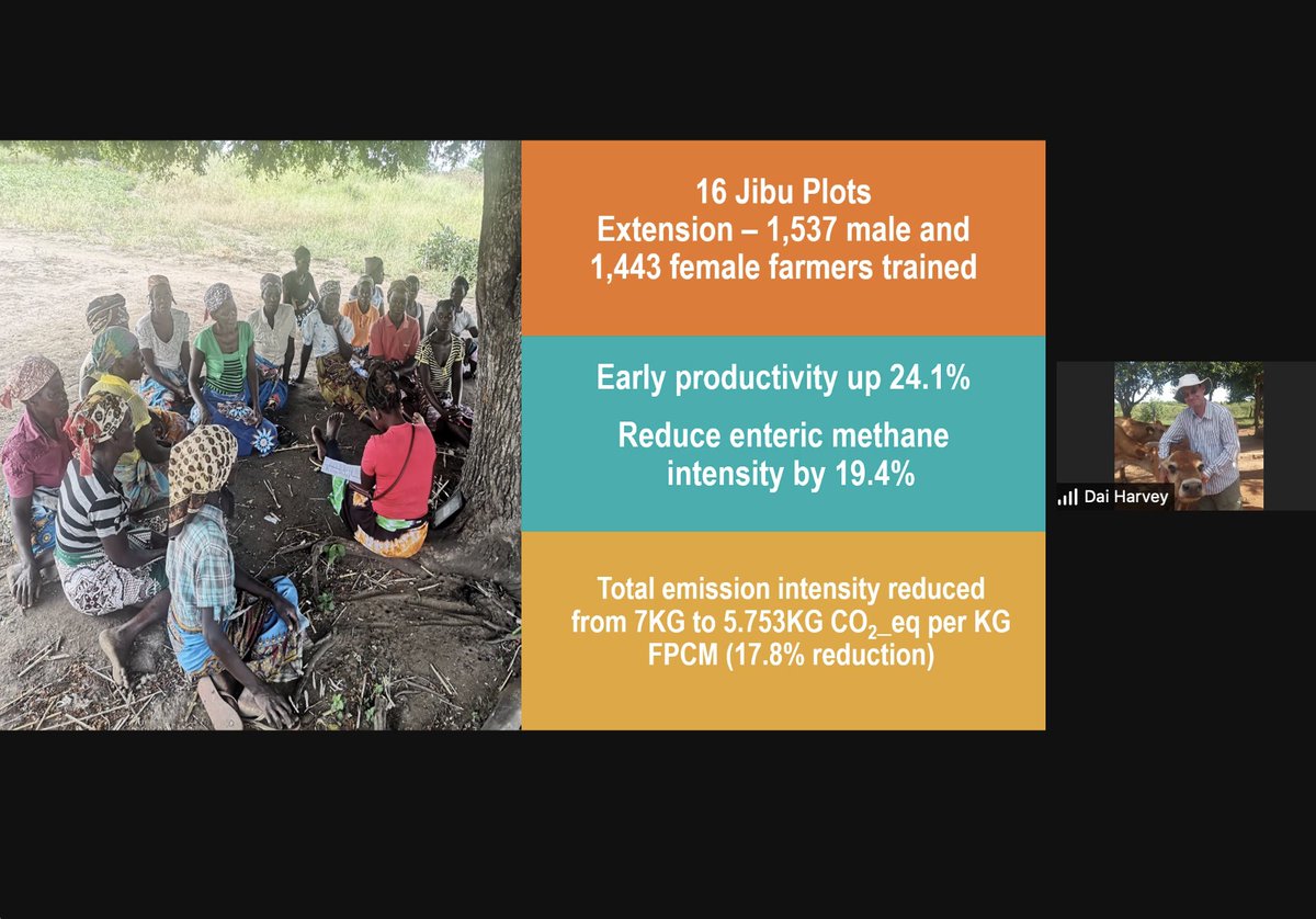 Why do livestock feeds matter so much? They generate: More milk, meat & better nutrition Less #GHGs, poverty & child stunting Dai Harvey of @LandOLakesV37 presentation just now in the 3rd webinar in a series produced by @ILRI and @LandOLakesV37 #WhyLivestockMatter @ILRI @CGIAR