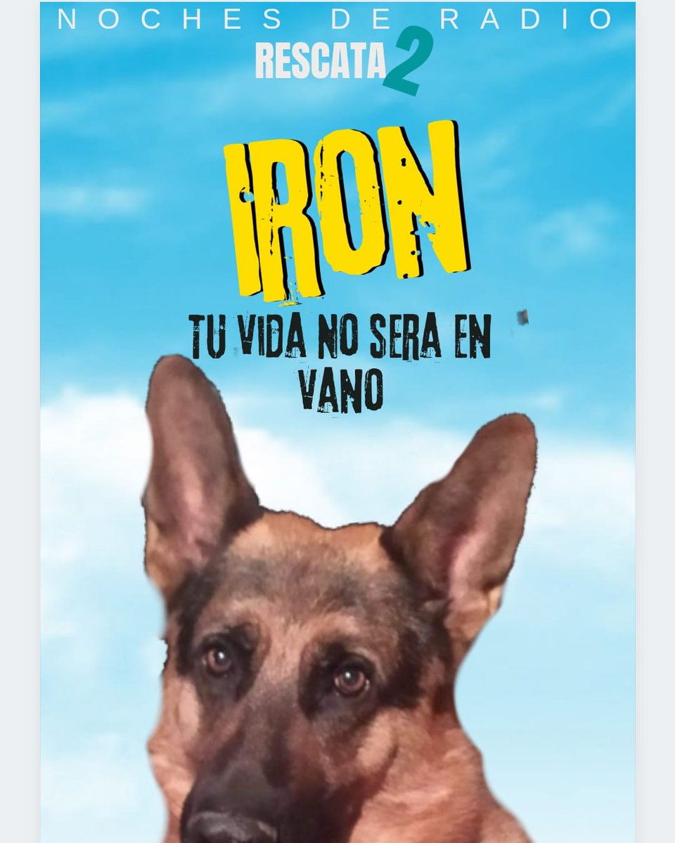 gufer68's tweet photo. En Rescatados la historia conmovedora de IRON el perro ovejero que dio la vida por su familia y todo lo que sucedio en torno s su injusta muerte.
Su vida no sera en vano
Miercoles 20 hs por https://t.co/e9HYmRuzaw https://t.co/VWCnGBkcER
