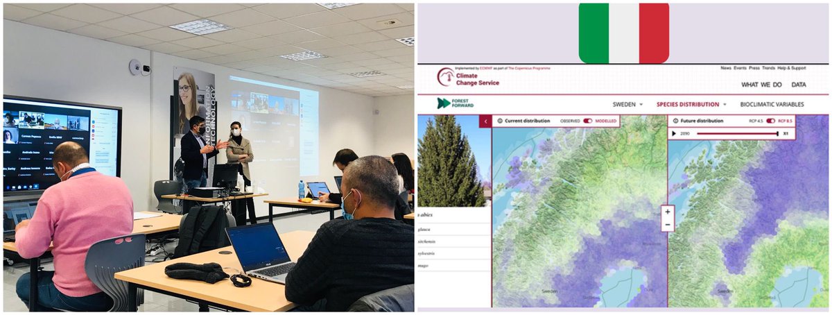 EuroNike tweet media