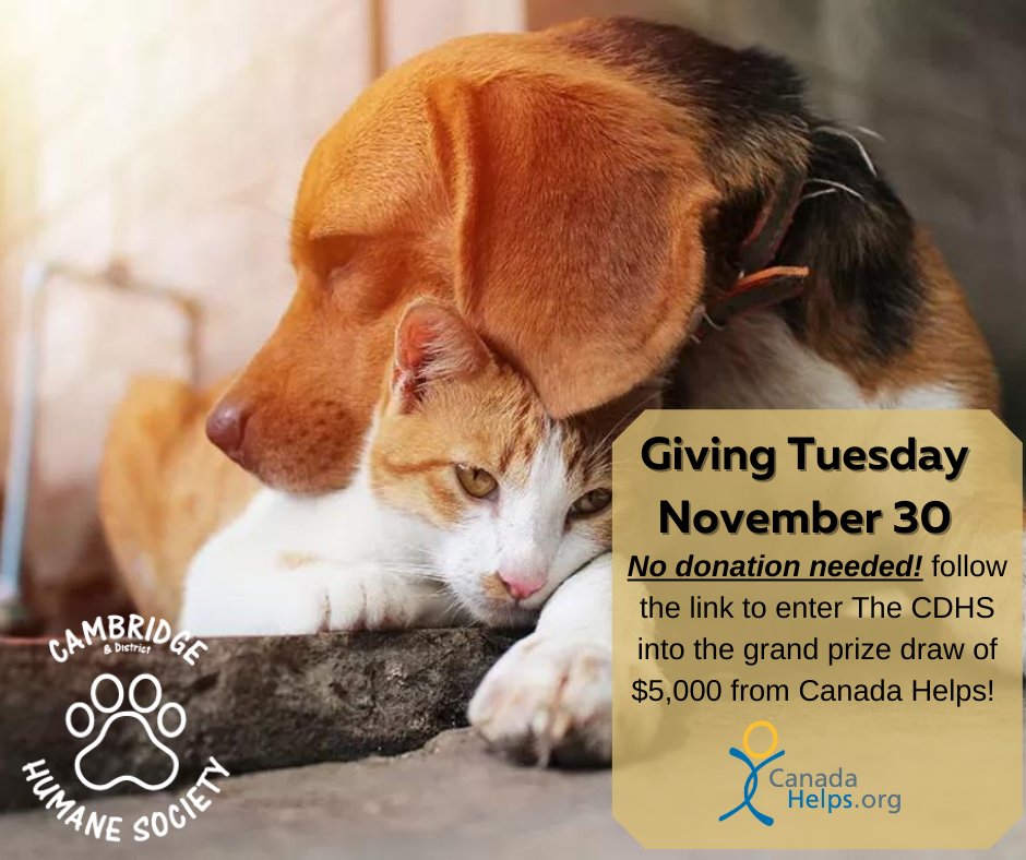 Nominate The CDHS for a chance to win the $5,000 grand prize from Canada Helps before it's too late, through their Giving Tuesday fundraiser! ❤N o donation necessary to enter The CDHS into the draw!
Nominations can be made by clicking the link below:
canadahelps.org/en/givingtuesd…